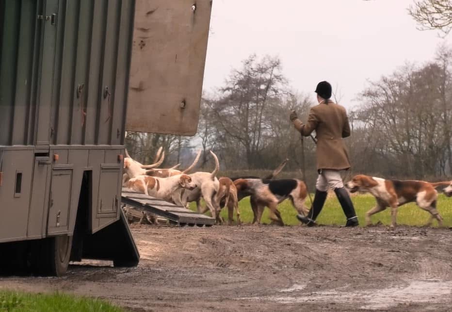 “The Hunting Act does not stop illegal hunting”