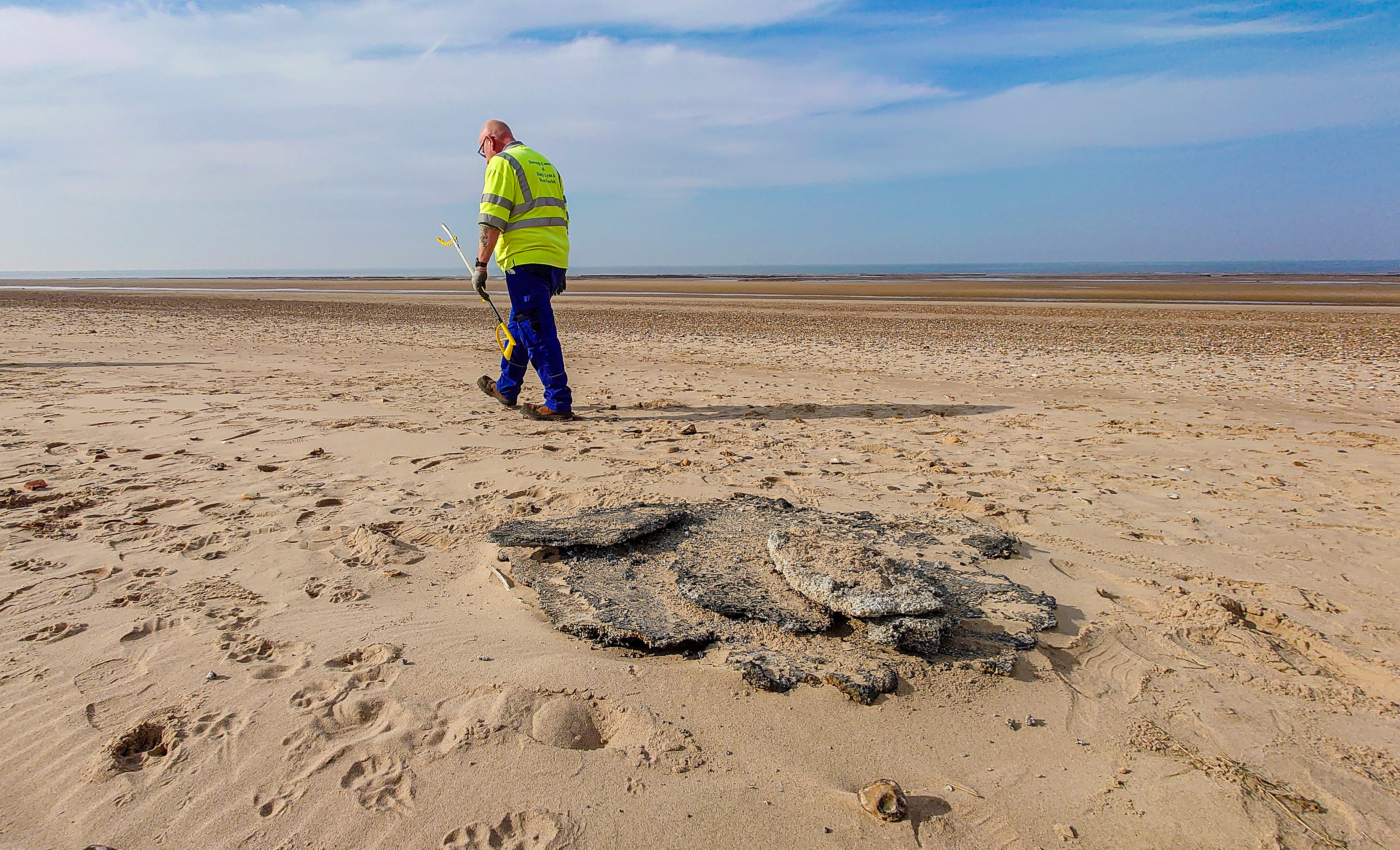 “Big concern” for wildlife after ship collision
