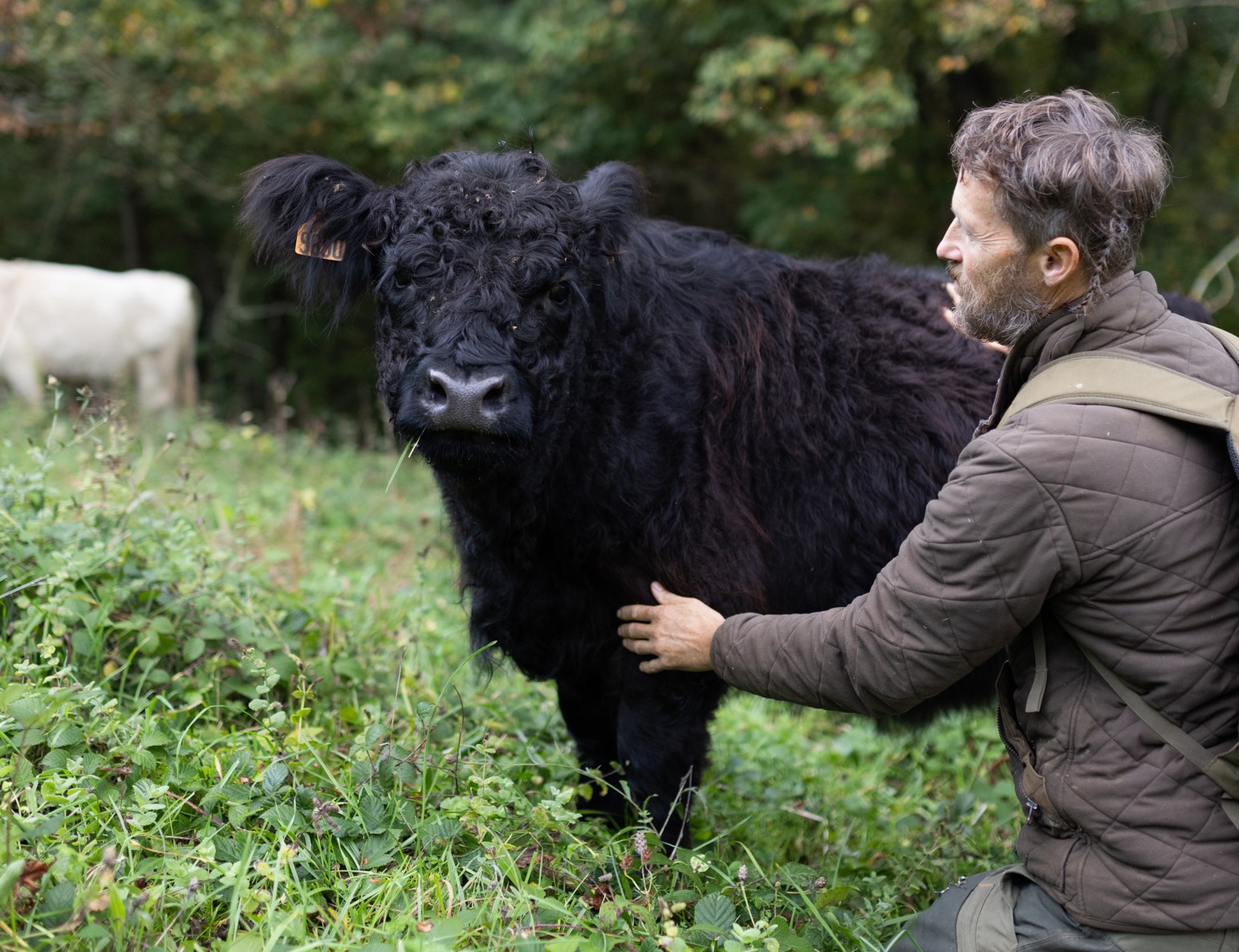 Farmer grieves brother through spiritually connecting with cows