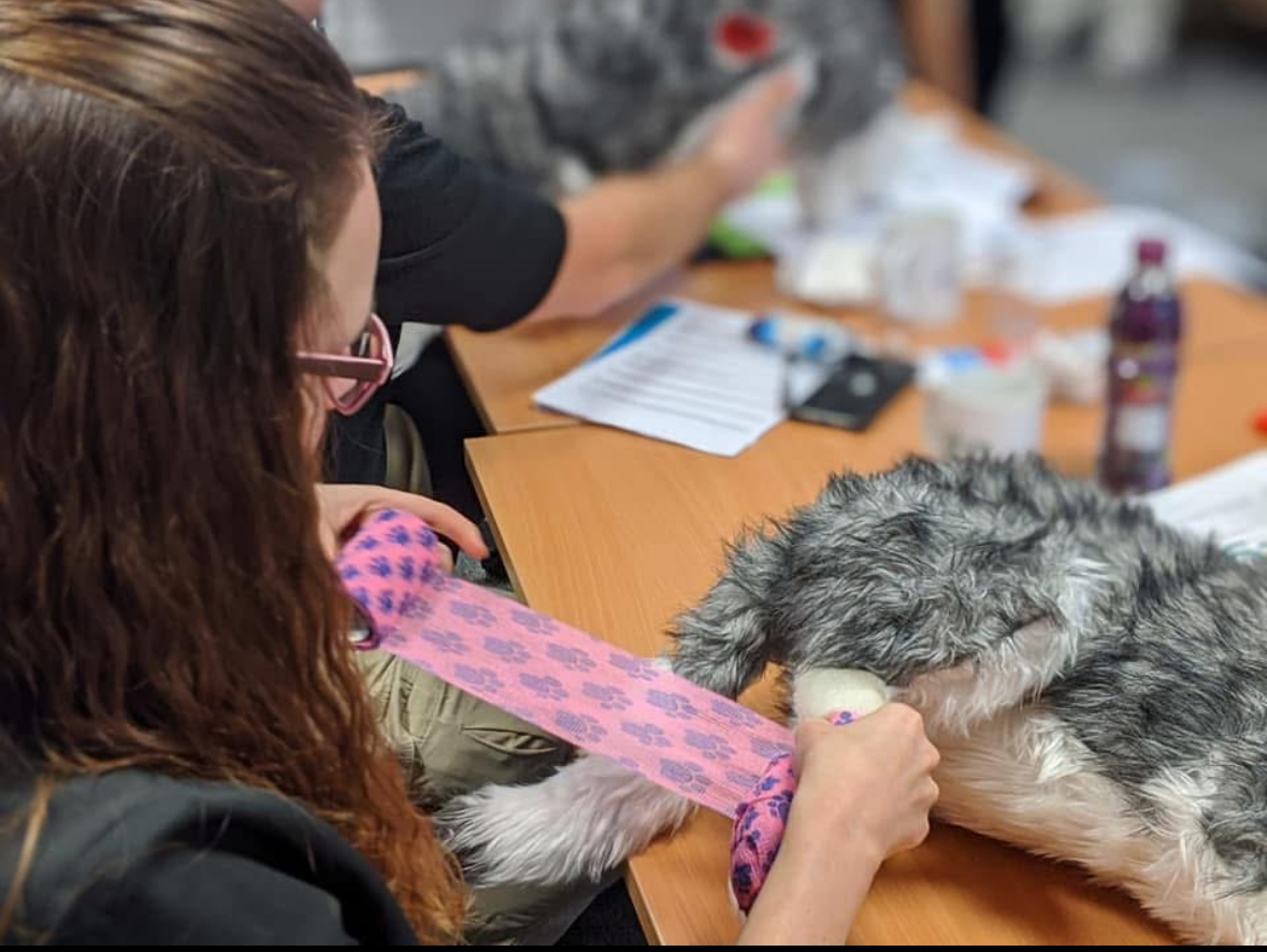 Vet nurses are “underused” in the UK